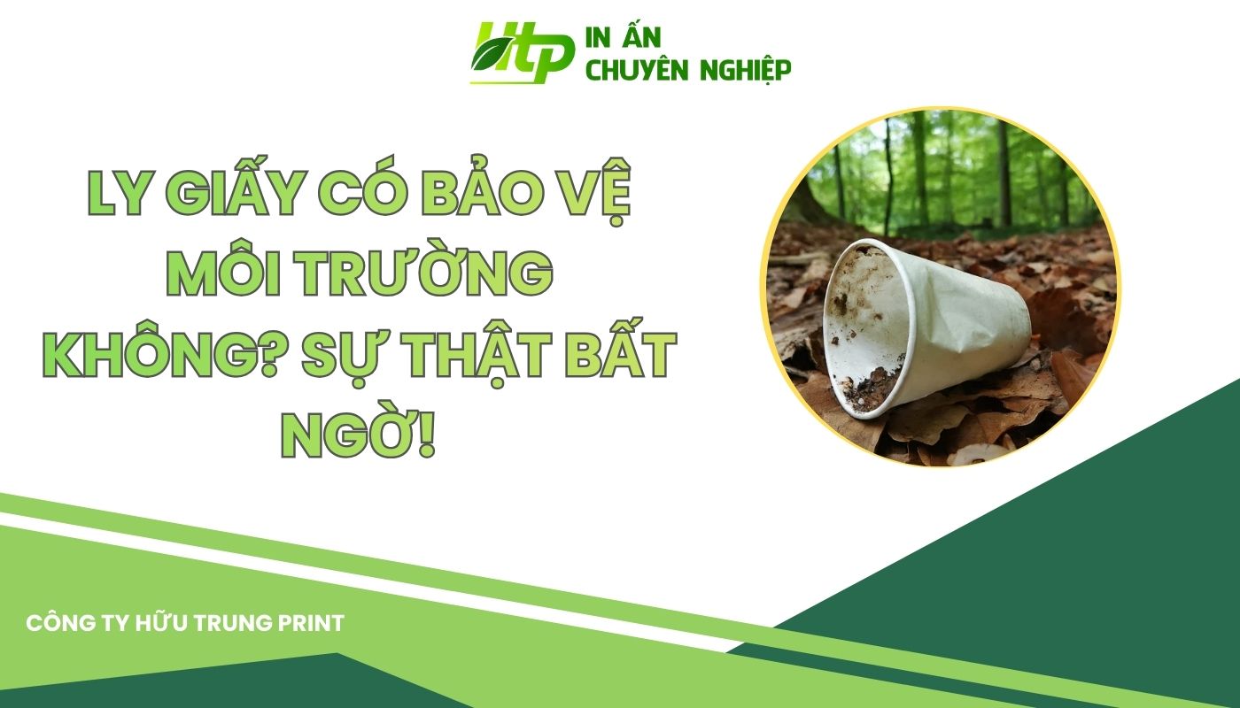 Ly Giấy Có Bảo Vệ Môi Trường Không? Sự Thật Bất Ngờ!