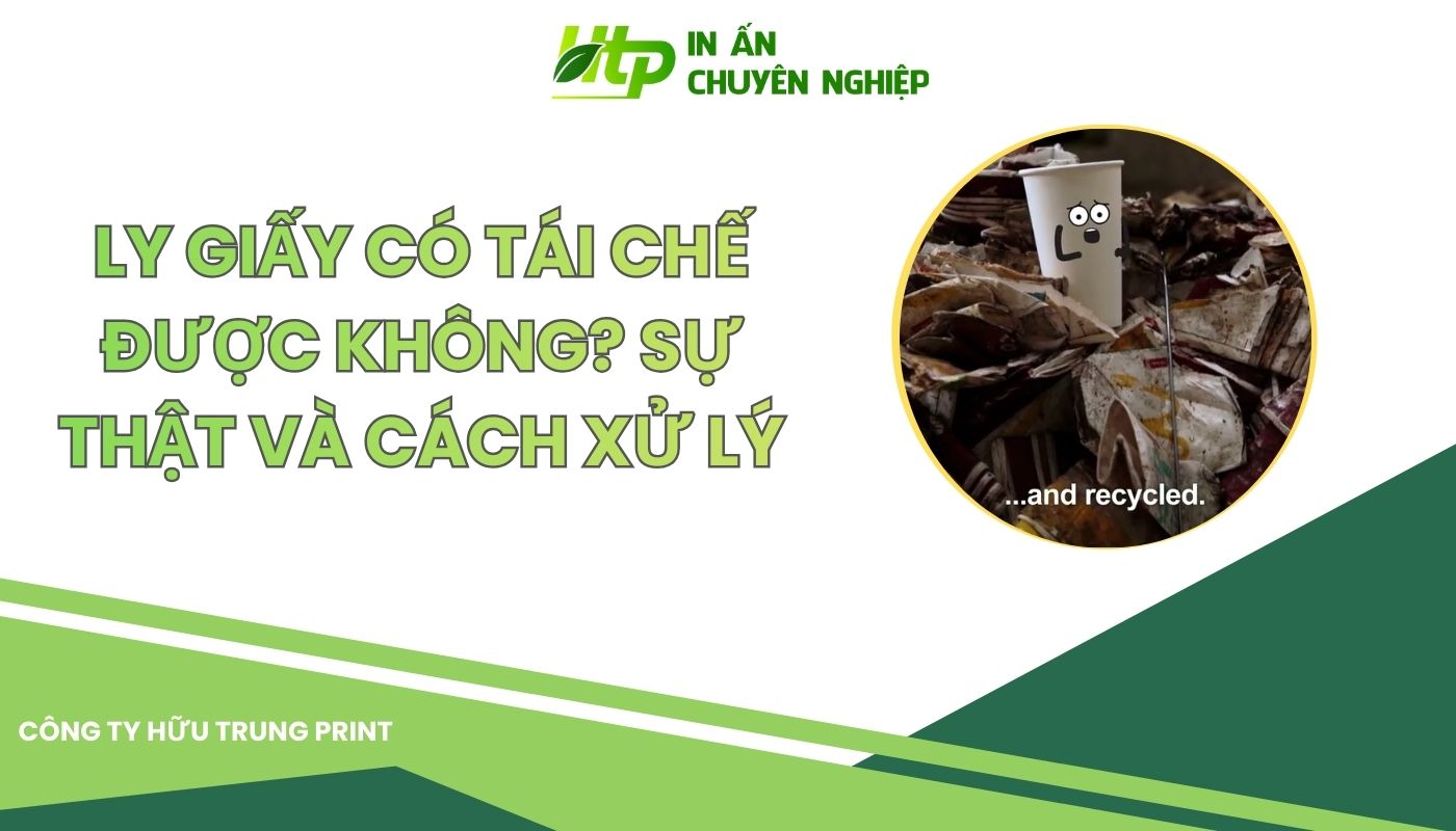 Ly Giấy Có Tái Chế Được Không? Sự Thật Và Cách Xử Lý